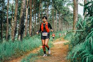 BIB: 
                            <button type="button" onclick="openModal(25751647)" class="btn btn-primary btn-sm float-right btn-popup" data-toggle="modal" data-target=".modal-high-quality">
                        <i class="fas fa-shopping-cart"></i> Add to Cart
                    </button>
                                            <button type="button" onclick="isThisMe(25751647, true)" class="btn btn-success btn-sm float-right btn-popup btn-isme hidden" data-toggle="tooltip" data-placement="bottom" title="นี่คือรูปของคุณใช่ไหม คลิกที่นี่เพื่อเอาเข้าอัลบั้ม">
                        <i class="fas fa-plus"></i> Add to album
                    </button>
                    <button type="button" onclick="isThisMe(25751647, false)" class="btn btn-warning btn-sm float-right btn-popup btn-isnotme hidden">
                        <i class="fas fa-ban"></i> Remove from album
                    </button>